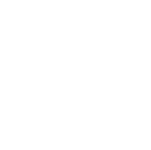 CSS logo